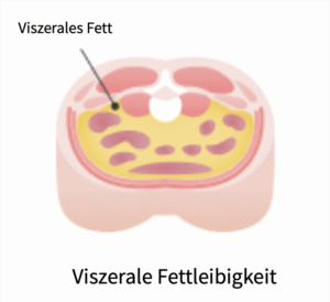 Viszerales Fett